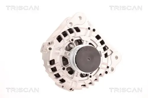 Generator 14 V TRISCAN 8310 29109 Bild Generator 14 V TRISCAN 8310 29109