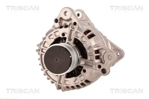 Generator 14 V TRISCAN 8310 29110