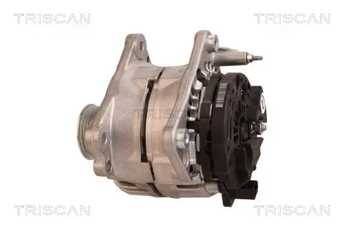 Generator 12 V TRISCAN 8310 29111 Bild Generator 12 V TRISCAN 8310 29111