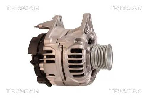 Generator 12 V TRISCAN 8310 29111 Bild Generator 12 V TRISCAN 8310 29111