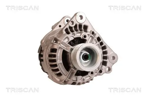 Generator 12 V TRISCAN 8310 29111 Bild Generator 12 V TRISCAN 8310 29111