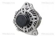 Generator 14 V TRISCAN 8310 40010