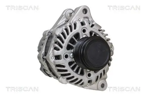 Generator 14 V TRISCAN 8310 40010 Bild Generator 14 V TRISCAN 8310 40010
