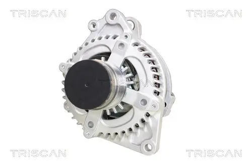Generator 14 V TRISCAN 8310 40013