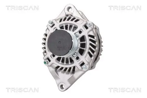Generator 14 V TRISCAN 8310 42001