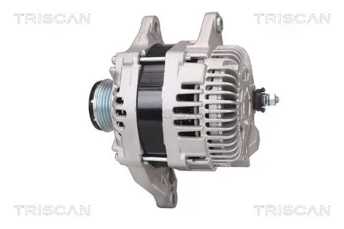 Generator 14 V TRISCAN 8310 42001 Bild Generator 14 V TRISCAN 8310 42001