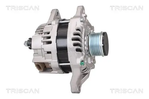 Generator 14 V TRISCAN 8310 42001 Bild Generator 14 V TRISCAN 8310 42001