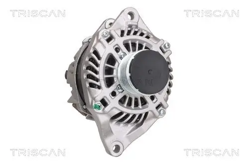 Generator 14 V TRISCAN 8310 42001 Bild Generator 14 V TRISCAN 8310 42001