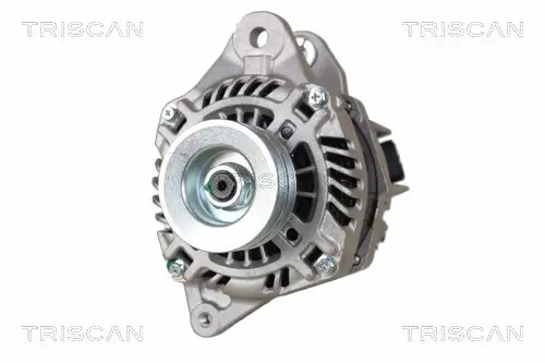 Generator 12 V TRISCAN 8310 42002