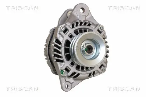 Generator 12 V TRISCAN 8310 42002 Bild Generator 12 V TRISCAN 8310 42002