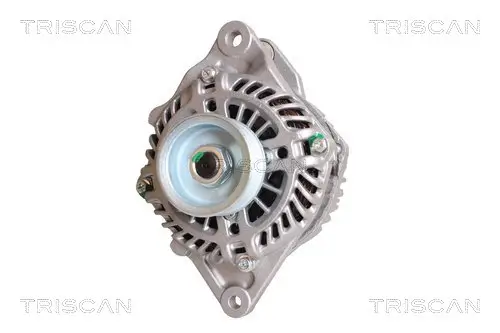 Generator 14 V TRISCAN 8310 42005