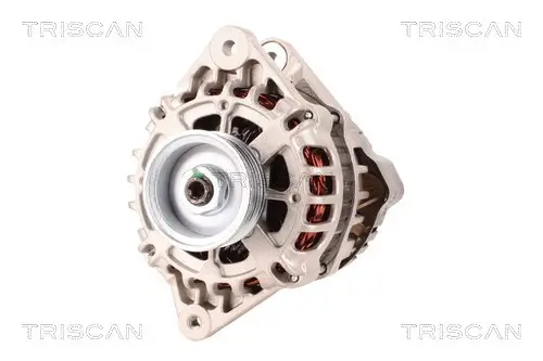 Generator 12 V TRISCAN 8310 43001