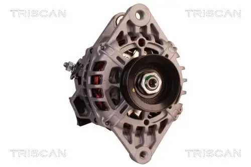 Generator 14 V TRISCAN 8310 43003 Bild Generator 14 V TRISCAN 8310 43003