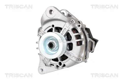 Generator 14 V TRISCAN 8310 43004