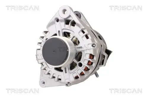 Generator 14 V TRISCAN 8310 43005 Bild Generator 14 V TRISCAN 8310 43005