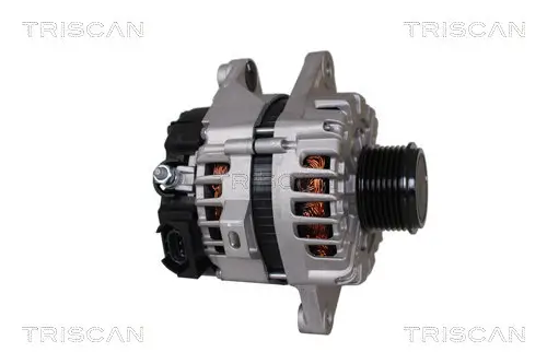 Generator 14 V TRISCAN 8310 43006 Bild Generator 14 V TRISCAN 8310 43006