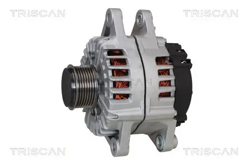 Generator 12 V TRISCAN 8310 43008 Bild Generator 12 V TRISCAN 8310 43008