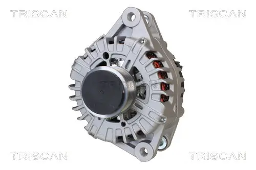 Generator 12 V TRISCAN 8310 43008 Bild Generator 12 V TRISCAN 8310 43008