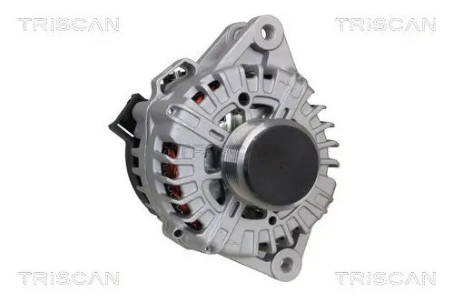 Generator 12 V TRISCAN 8310 43008 Bild Generator 12 V TRISCAN 8310 43008