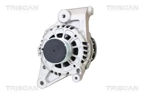 Generator 14 V TRISCAN 8310 43009