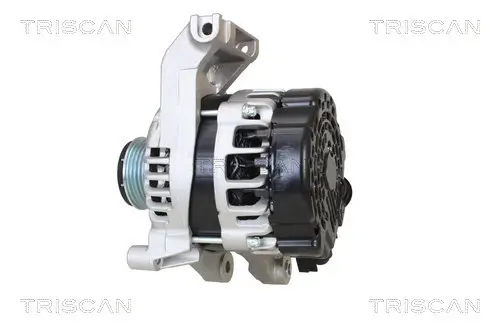 Generator 14 V TRISCAN 8310 43009 Bild Generator 14 V TRISCAN 8310 43009