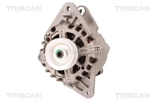 Generator 12 V TRISCAN 8310 43010