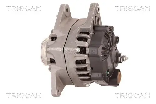 Generator 12 V TRISCAN 8310 43010 Bild Generator 12 V TRISCAN 8310 43010