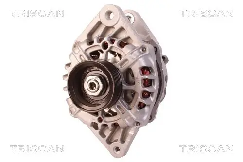 Generator 14 V TRISCAN 8310 43021
