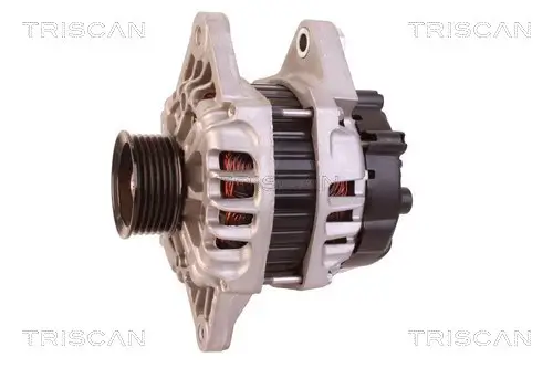 Generator 14 V TRISCAN 8310 43021 Bild Generator 14 V TRISCAN 8310 43021