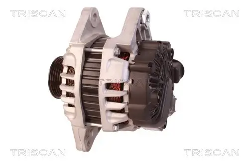 Generator 14 V TRISCAN 8310 43021 Bild Generator 14 V TRISCAN 8310 43021