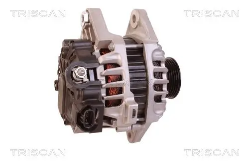 Generator 14 V TRISCAN 8310 43021 Bild Generator 14 V TRISCAN 8310 43021