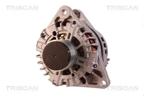 Generator 14 V TRISCAN 8310 43022