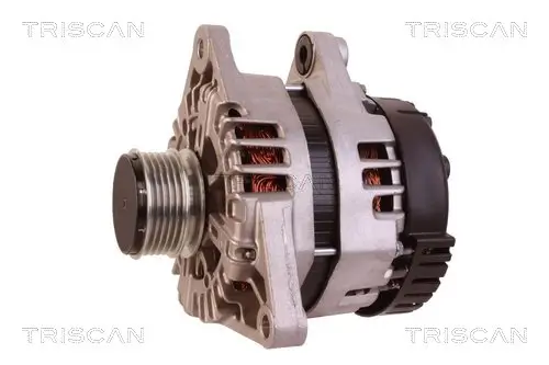 Generator 14 V TRISCAN 8310 43022 Bild Generator 14 V TRISCAN 8310 43022