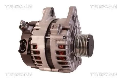 Generator 14 V TRISCAN 8310 43022 Bild Generator 14 V TRISCAN 8310 43022