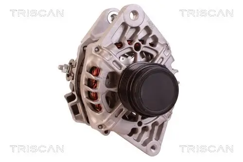 Generator 14 V TRISCAN 8310 43024 Bild Generator 14 V TRISCAN 8310 43024