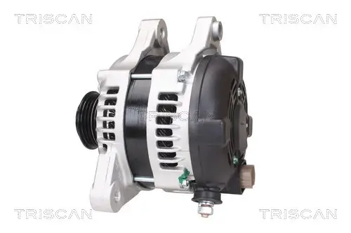 Generator 12 V TRISCAN 8310 43029 Bild Generator 12 V TRISCAN 8310 43029