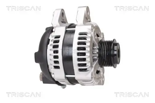 Generator 12 V TRISCAN 8310 43029 Bild Generator 12 V TRISCAN 8310 43029