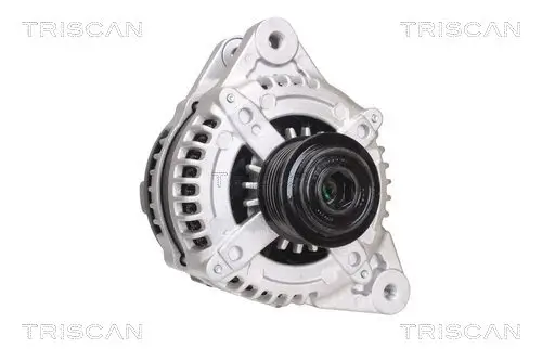 Generator 12 V TRISCAN 8310 43029 Bild Generator 12 V TRISCAN 8310 43029
