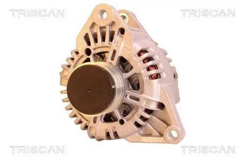 Generator 14 V TRISCAN 8310 43030