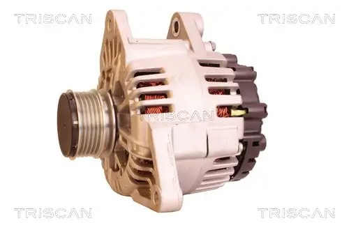 Generator 14 V TRISCAN 8310 43030 Bild Generator 14 V TRISCAN 8310 43030