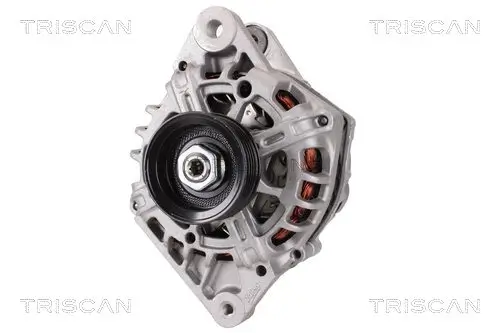 Generator 14 V TRISCAN 8310 43031