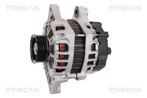 Generator 14 V TRISCAN 8310 43031 Bild Generator 14 V TRISCAN 8310 43031