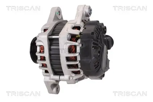 Generator 14 V TRISCAN 8310 43031 Bild Generator 14 V TRISCAN 8310 43031