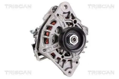 Generator 14 V TRISCAN 8310 43031 Bild Generator 14 V TRISCAN 8310 43031