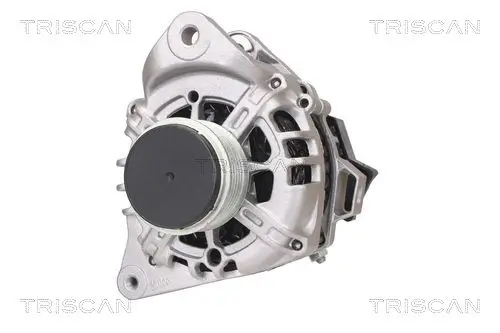 Generator 14 V TRISCAN 8310 43033