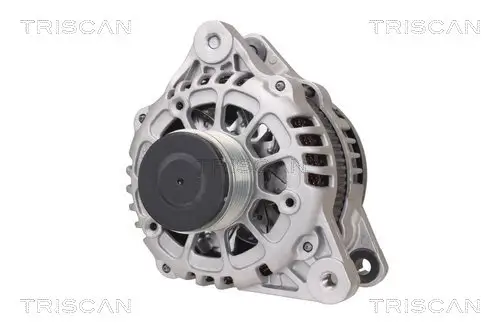 Generator 14 V TRISCAN 8310 43035