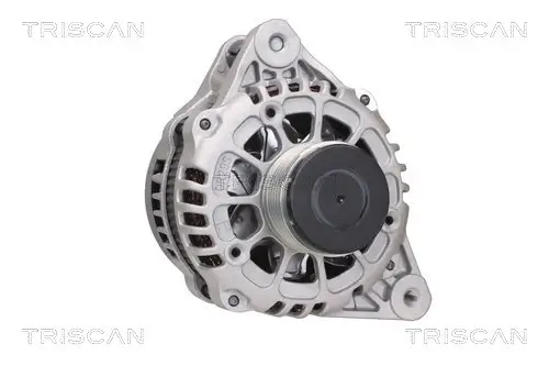 Generator 14 V TRISCAN 8310 43035 Bild Generator 14 V TRISCAN 8310 43035