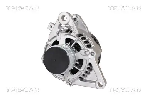 Generator 14 V TRISCAN 8310 43037