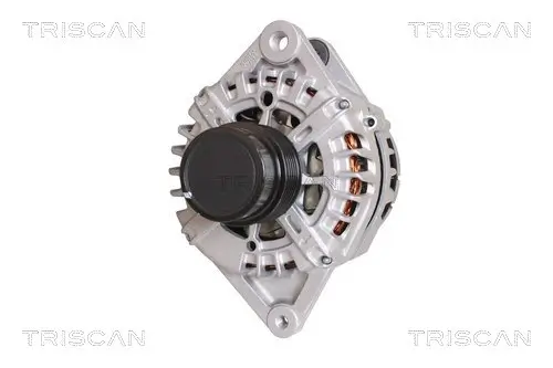 Generator 14 V TRISCAN 8310 43038