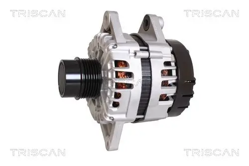 Generator 14 V TRISCAN 8310 43038 Bild Generator 14 V TRISCAN 8310 43038